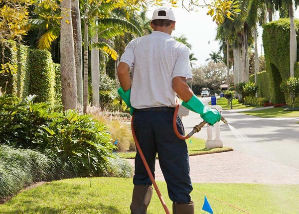 About Bellefontaine OH Pest Control
